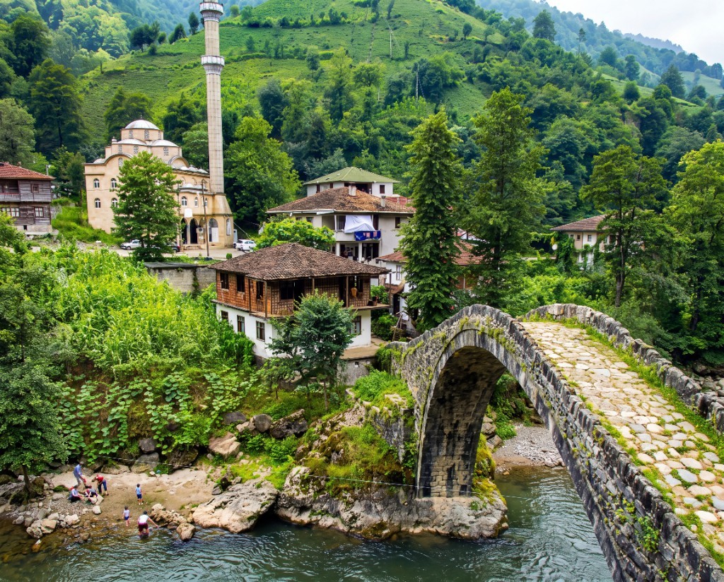 Kurumsal — grup çatısı, Artvin kökleri